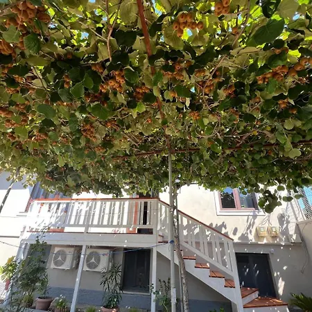 Kiwi Garden Shkodër