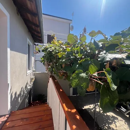 Kiwi Garden Pensión