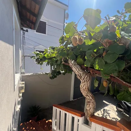 Kiwi Garden Shkodër
